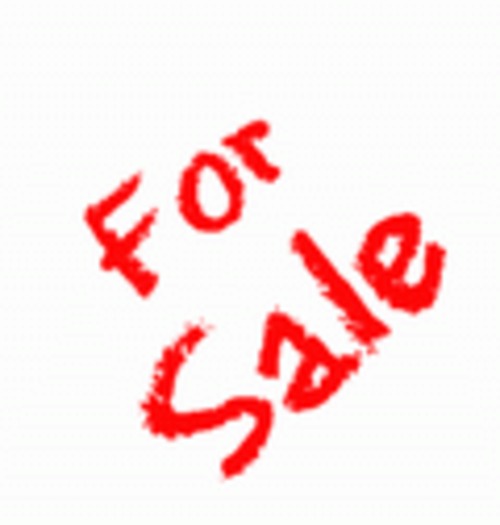 Product picture MTD big bore engine service manual